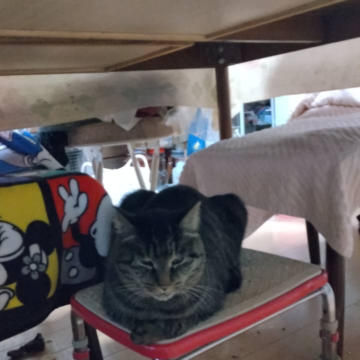 1190b8e8 9daf 41e8 81b8 a1d032f7ae96 1669023400687