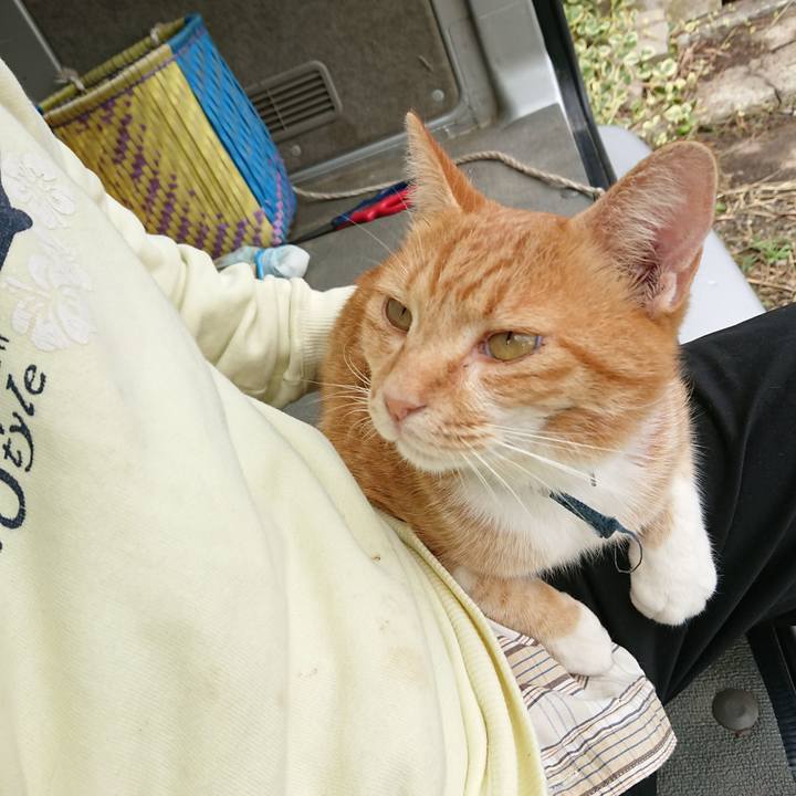 1190c5d3 7290 4bef 98dd 73a800e8c841 1601170094665