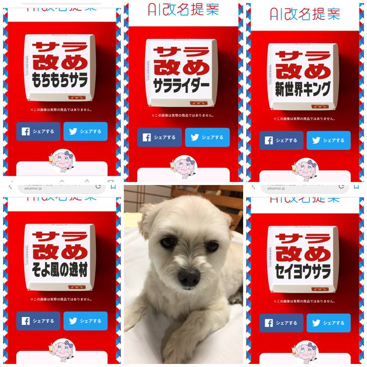 1190d205 809b 4592 9653 24b15410f2b3 1558752789644