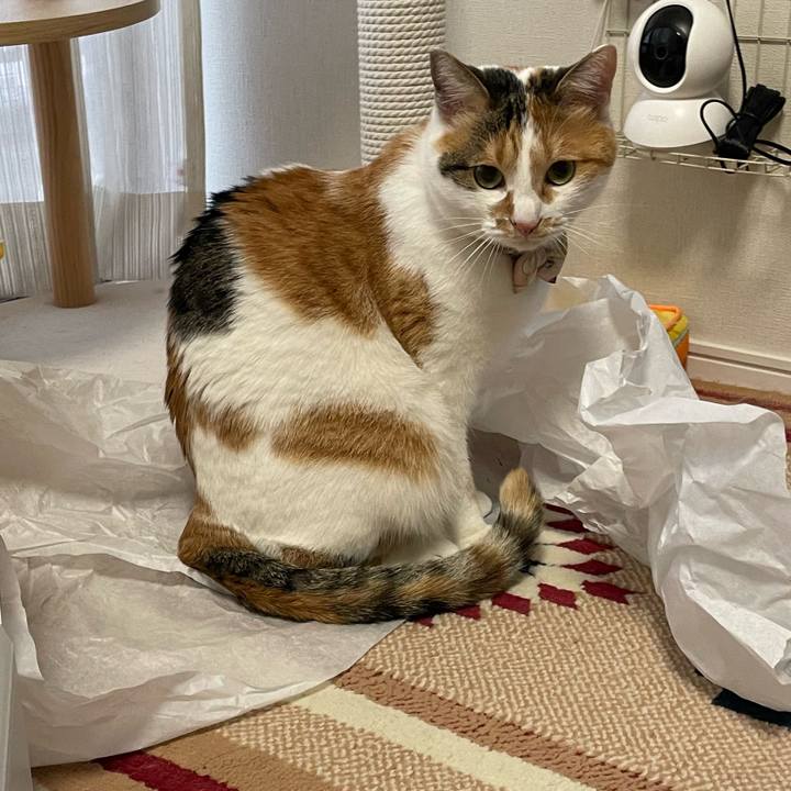 11914d57 842f 4372 aff0 980711e905c4 1641857590544