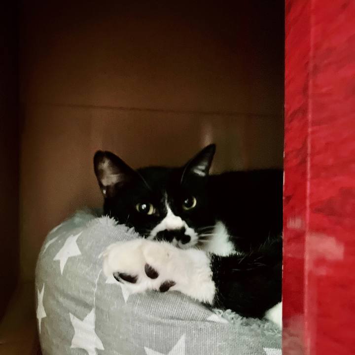 1191548d a232 439a a0a4 ee0c4a71b7f4 1676699856423