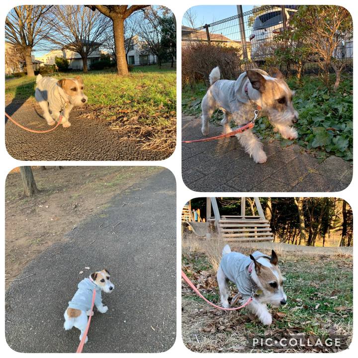 11916e79 f0bb 4385 9e89 e9c9e35a37a4 1608550893969