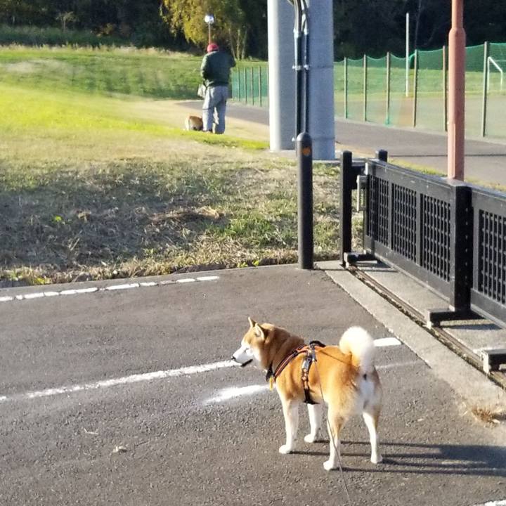 11916fb5 8724 44e3 b13f 13229ae81a96 1605248706782