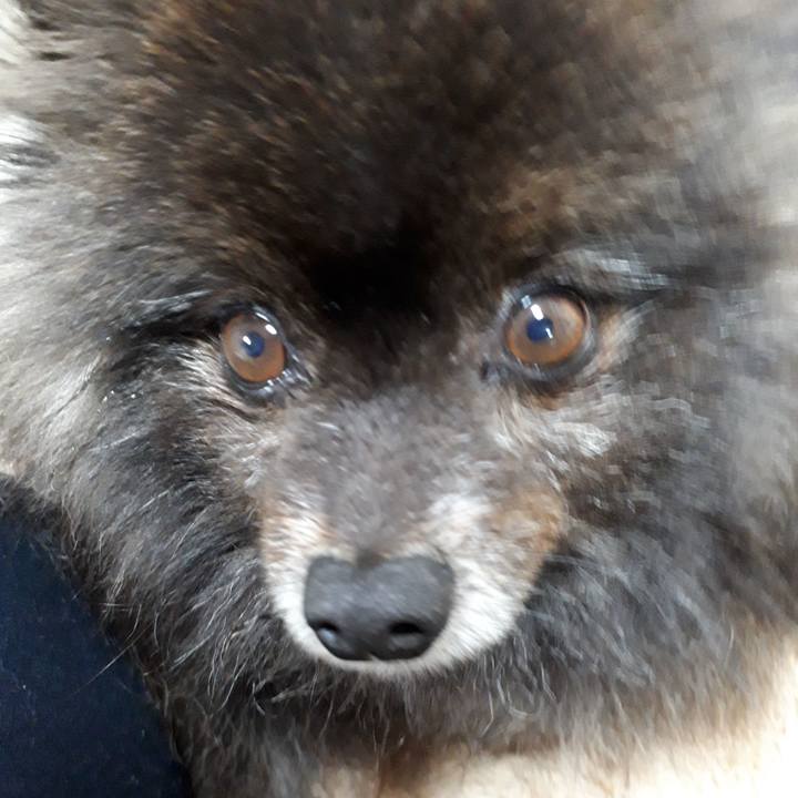 119174b6 7b89 46e0 92b3 aad962167114 1517224232774