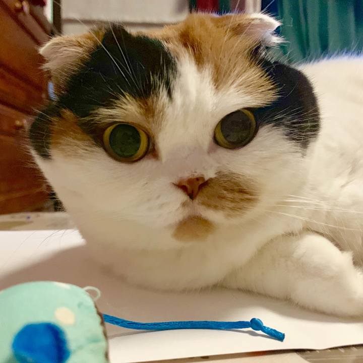 11918635 1d49 4b74 85e5 39b6b1dd5c8d 1564919949841