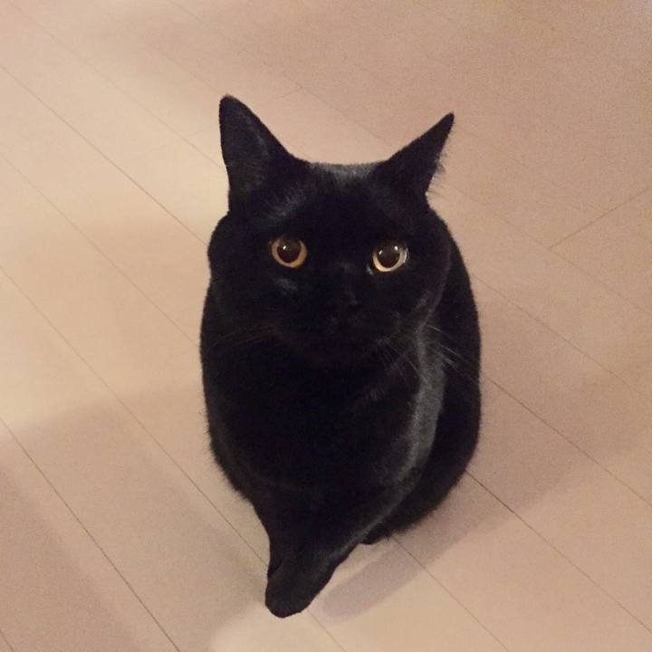 11918ff7 11bc 47b7 b867 4324ef4d48ac 1548250326873