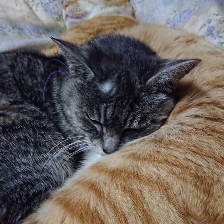 11919514 656b 4402 a59e e3798727f276 1579957588284