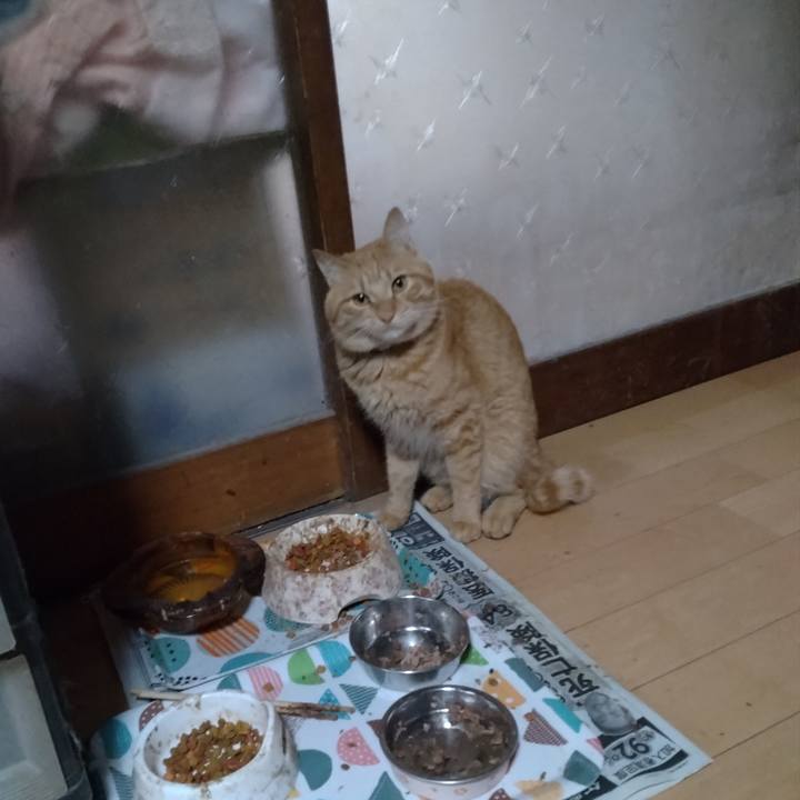 1191d3c4 1f8d 4046 934e 42bdeb50684b 1666735026575