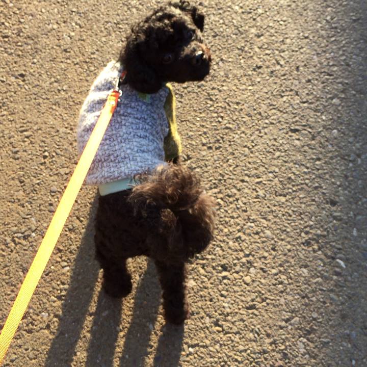 1191ecc9 bf77 4d7b a2c1 e4eadaec6e66 1509061176106