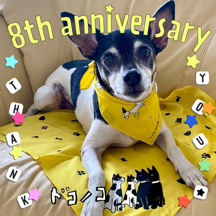 11921112 6abd 4750 b13d 8bd55dc70945 1717593468854