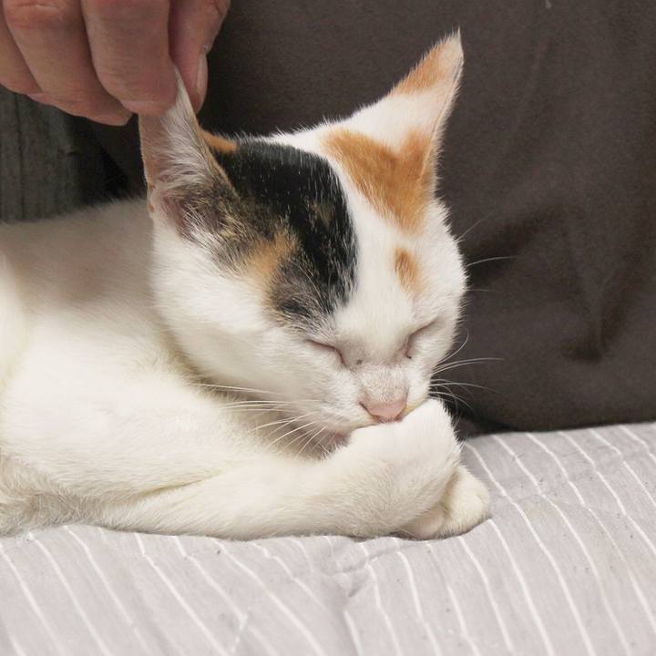 119215eb 191d 467d 854b f67914fddc32 1543923996745