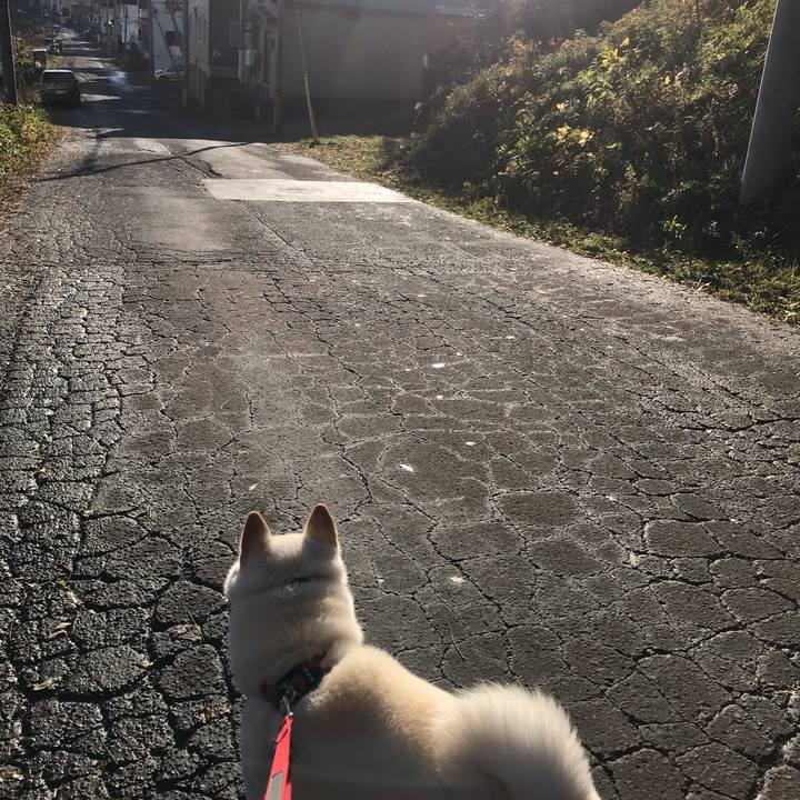 11922510 e6fe 44c7 b0e6 f97d72c7ba48 1542711919274