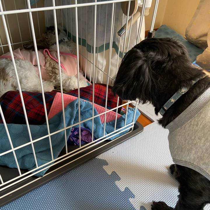 11922de2 6e42 48cb 8c45 661a3c6afd40 1636471346093