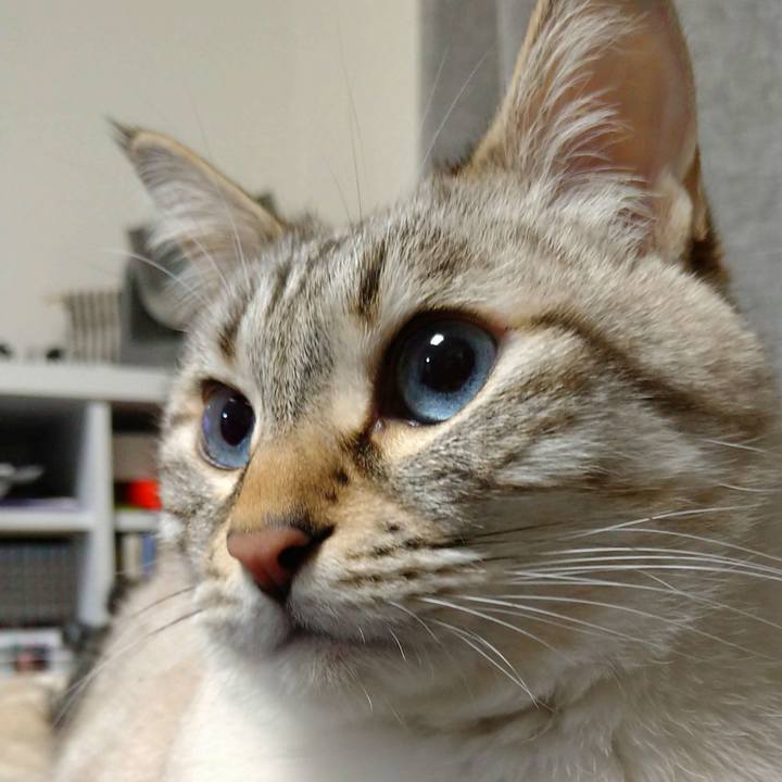 11925dbd db7c 4ab8 b08d 4e13e6718ca9 1677502349623