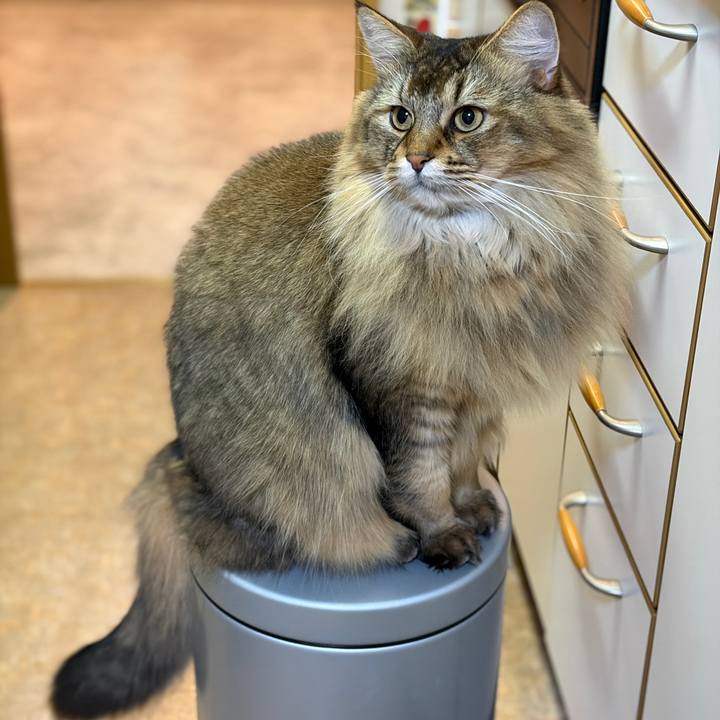 119273f2 7113 4204 b870 b61e48f943c8 1768257863838