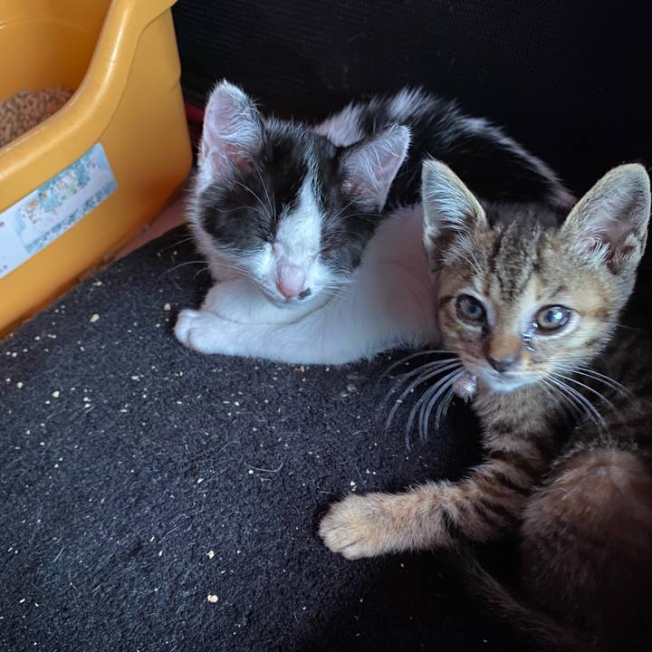 1192ade5 17f0 4adc bd40 fb0c3bb567ed 1654503541116