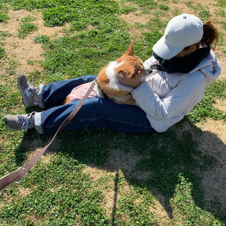 1192ceae 386b 412c 940e 0e2408fc2c59 1582520405445