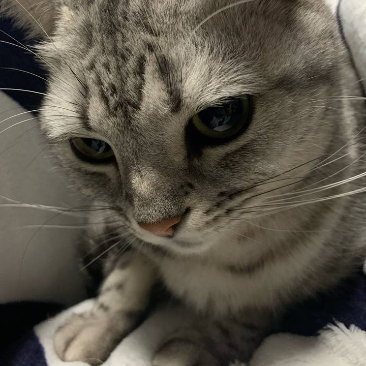 1192f369 f3b5 4661 af21 7248a75a17f7 1639790588775