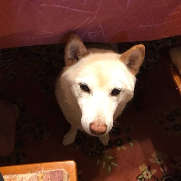 1192f70a 60b7 4569 ac4b 908c3dcadea4 1647272584214