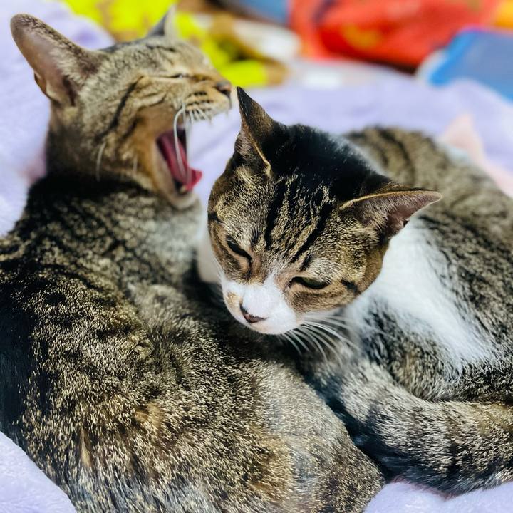 11931bb8 151b 4912 89cc b57dae8ee0ad 1605833887932