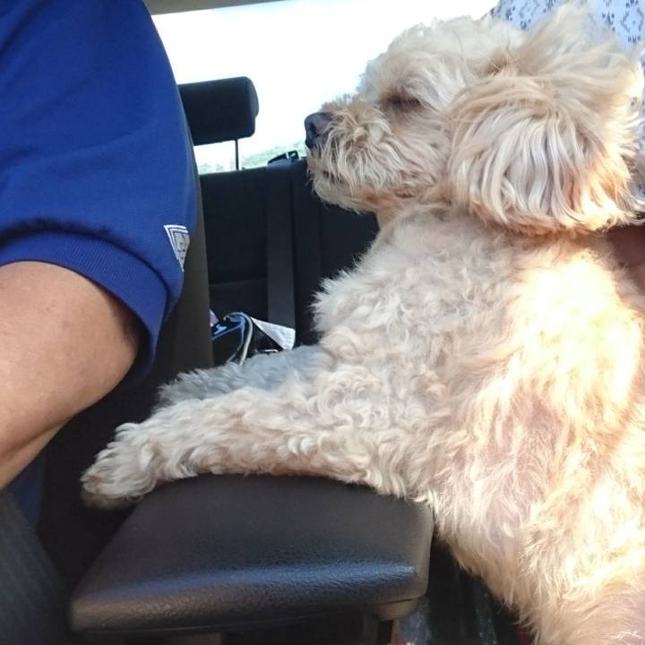 1193206c 990c 47ba a95a 01ab0f1d014e 1565243786418