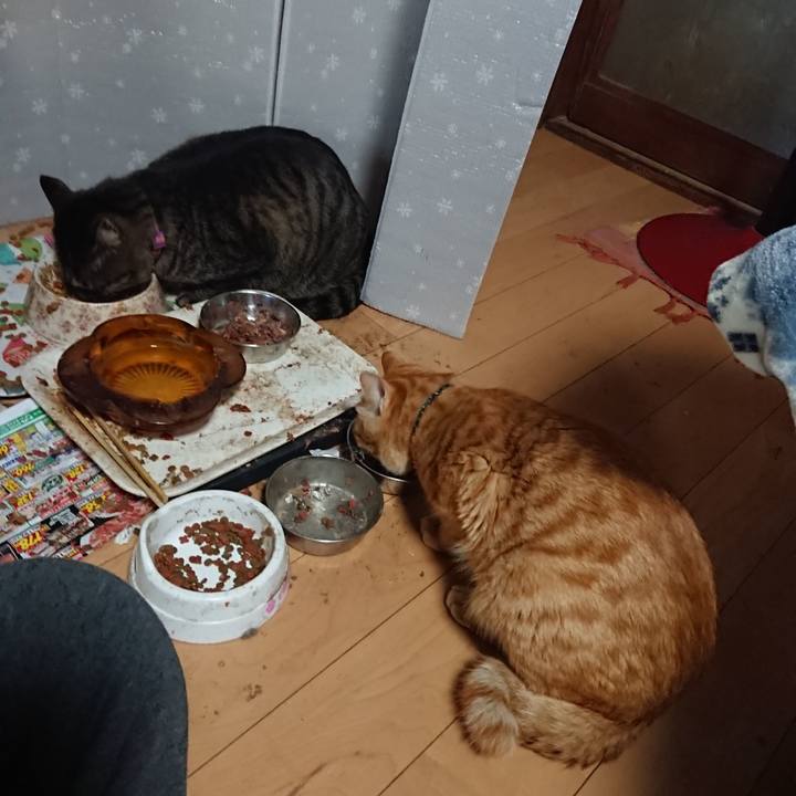 119345ff 9e2a 49ab 8ef3 a3fc6f7a19b0 1649372795326