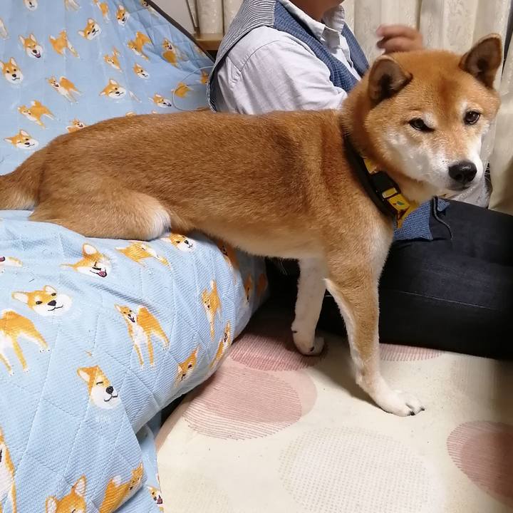 11936312 b0a6 4eac 98fe e2c0e7c463ac 1637717654563