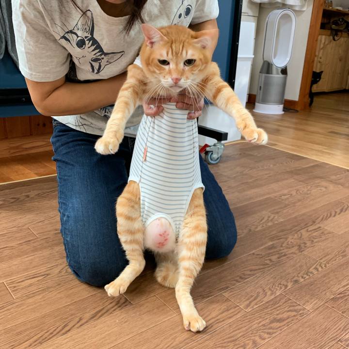 1193690b a524 480a 84c9 e4c1e59add2a 1569206405694