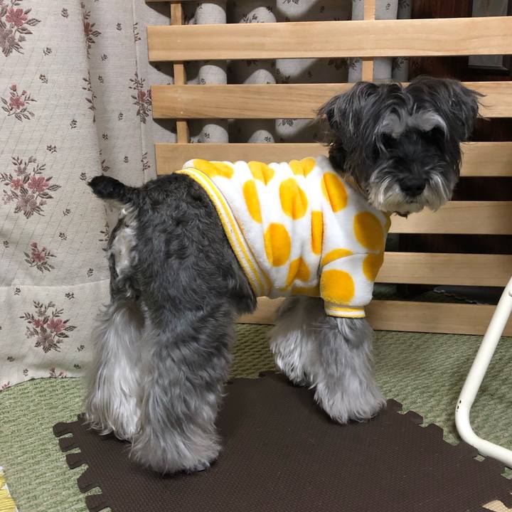 1193a485 b2e5 4711 8cbc 2c75ba9e545c 1706794651561