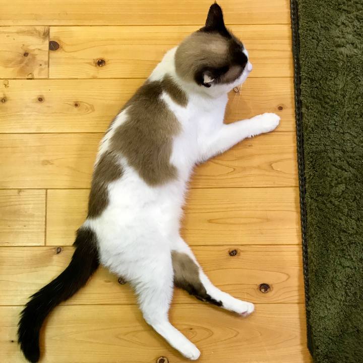 1193a7c1 79dd 4f50 a061 d781b7cdc53b 1535191921497