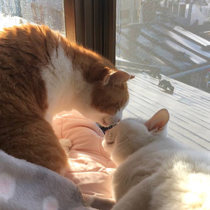 1193bfee a9c6 4a8f 880b e28b7752c9ae 1611642545777