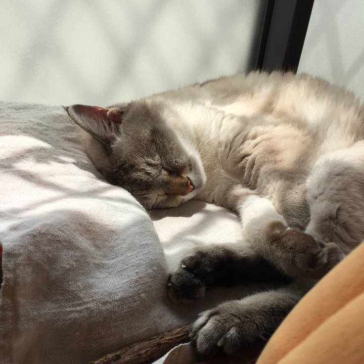 1193c68f e0e2 4709 a339 93b459554bf9 1565926904273