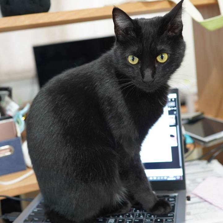 1193dcb1 bc79 415d b301 bbfc0a51c328 1587088647827