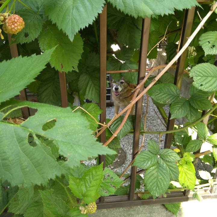 1194389d be4c 43d1 bd33 308788e65f85 1561510135230