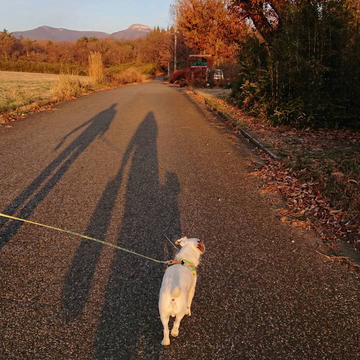 119450c3 2f3f 4192 bf0f 384b9ab8a4bf 1542754194865