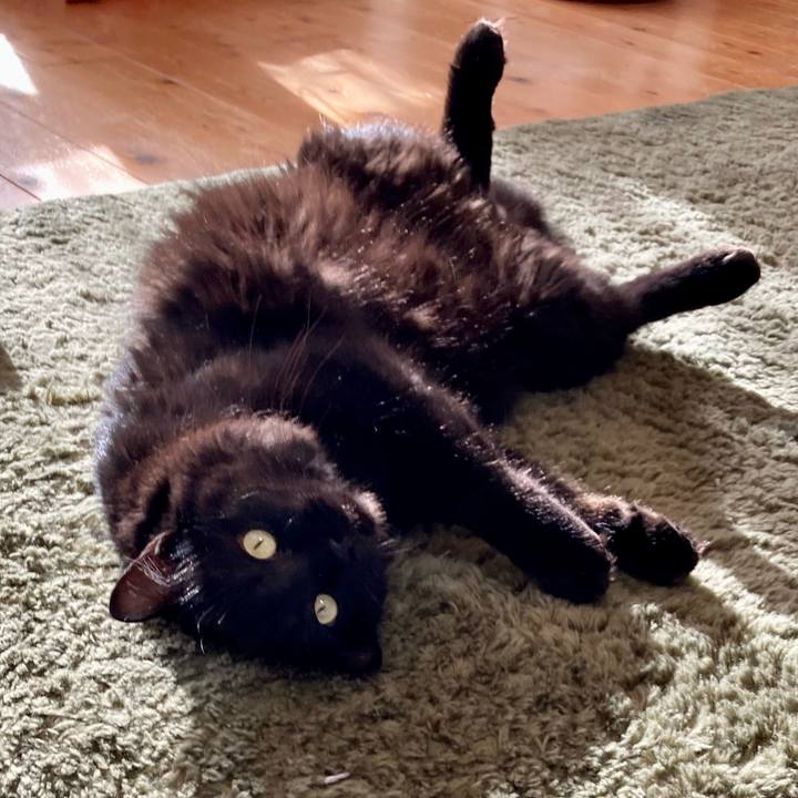 119485b2 859b 49d1 978c 1996994ea091 1765795175394