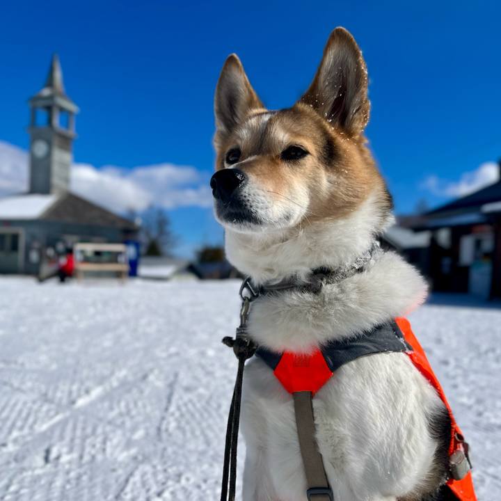 1194a6ac 5d13 46e9 a016 99756aee6bed 1770005589305