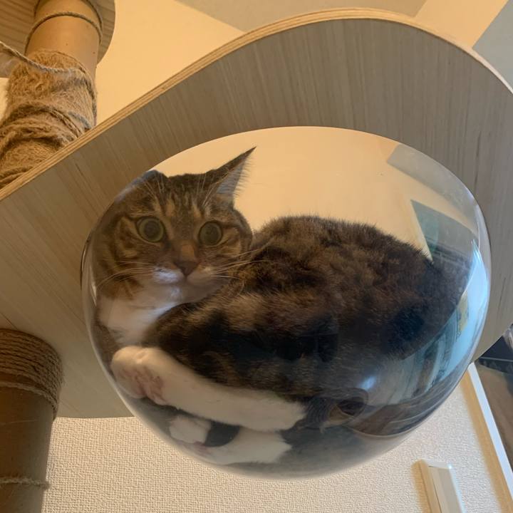 1194cb2d f539 4fde bd81 5eceed66a376 1637677267897