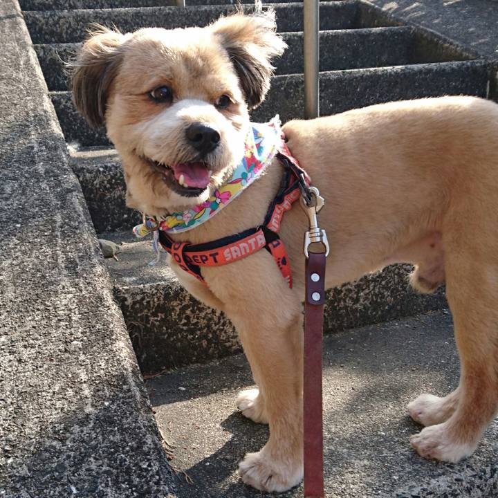 119556f7 65d8 4055 9718 afa2cffeff9a 1524038527614