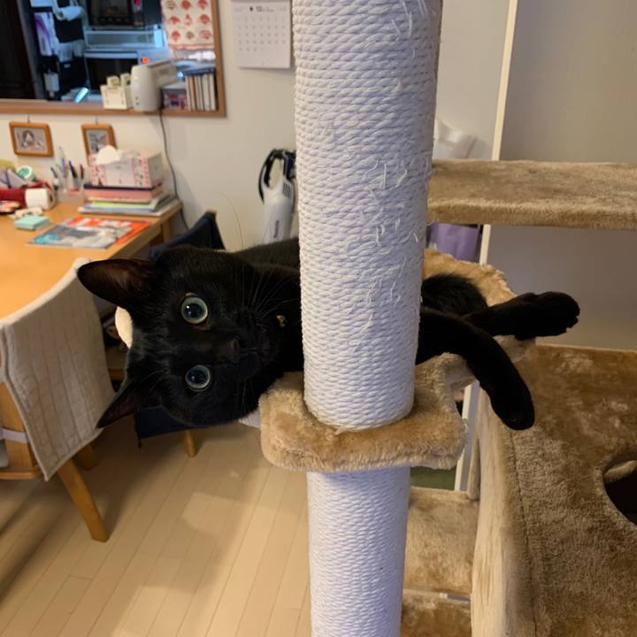 1195691d 8090 4330 858d c1cc29781034 1576291255446