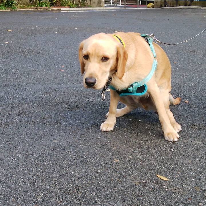 1195e0d8 c214 47dd 9b9f 32aef95ceb84 1512432774998