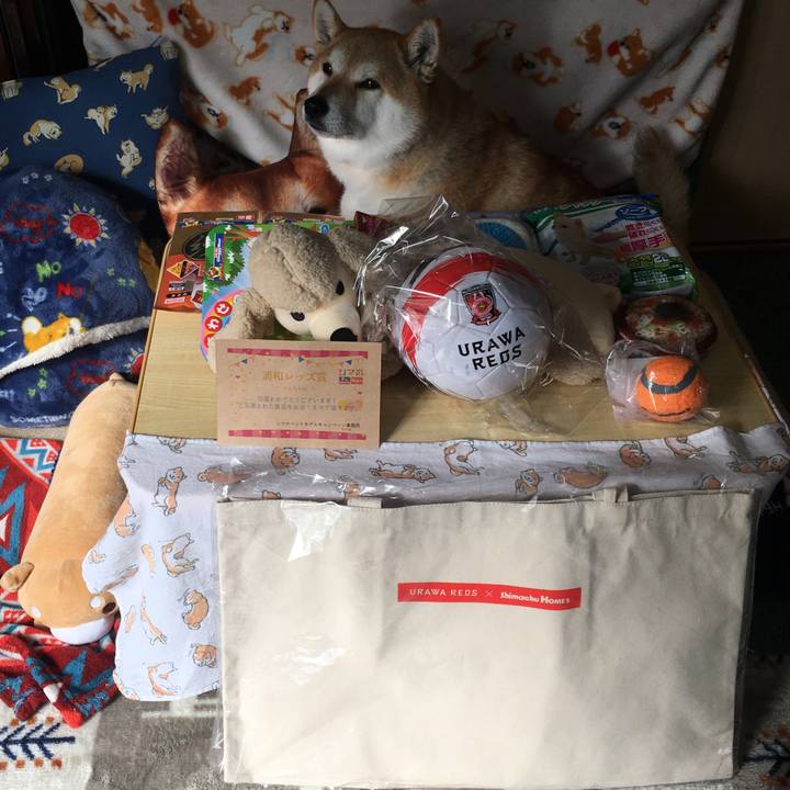 1195f692 7a33 4858 a3cc 4c17ced68aec 1612498316481