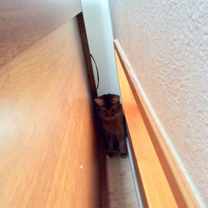 1195fa0f 87bd 46e7 8111 580cee13caa1 1564286862596