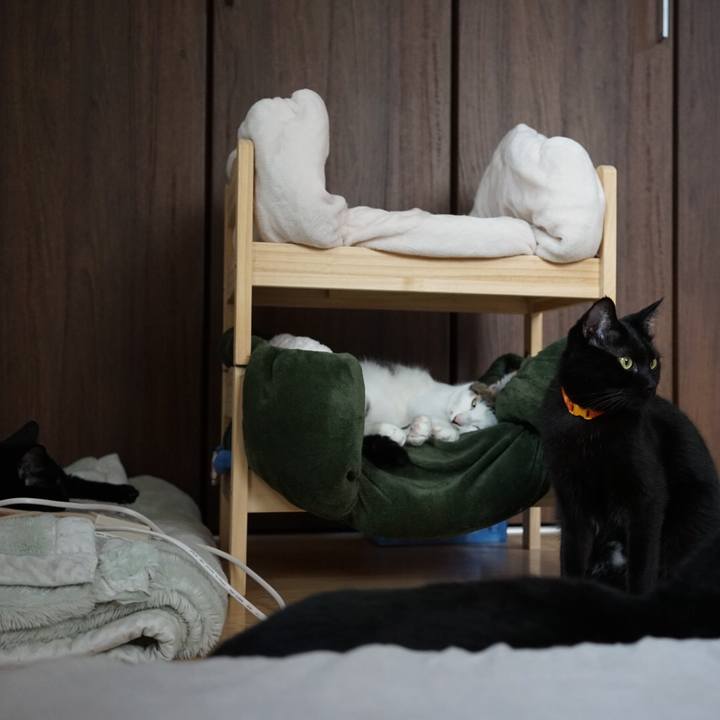 11961377 7695 48b3 86d3 9e4cff8fb179 1538834285601