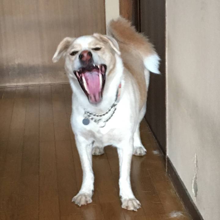 119618c8 adb5 4d0c b718 b227b2240b23 1541814328842