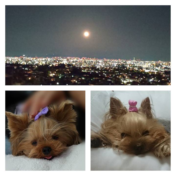 11964cc0 f813 4a08 a8fd 7d77cd1bce1f 1650263219109