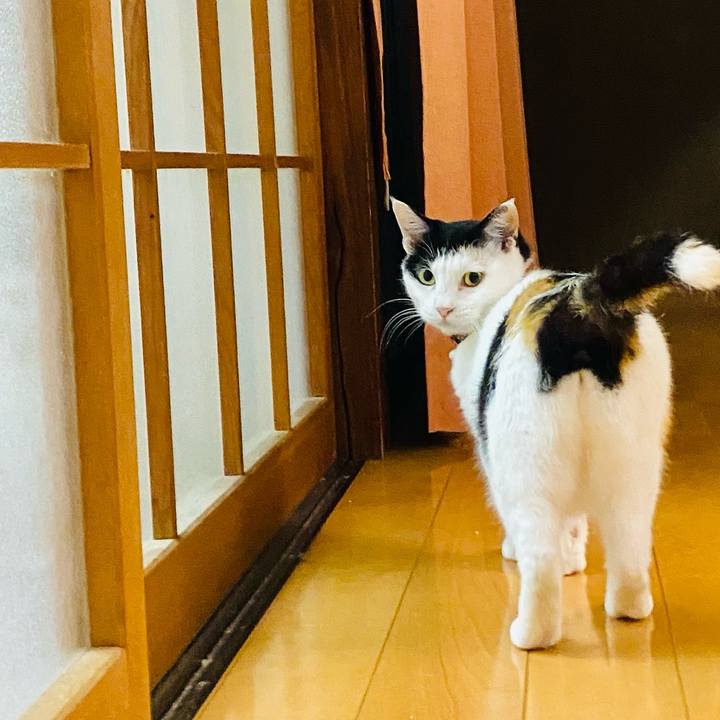 11966b3d 49c6 4b12 a616 8d37ca602cd5 1657542888600