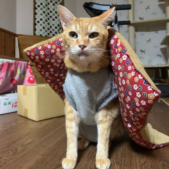 11968c5c c0be 4e87 8836 3e2b61e4cd7f 1641556536883