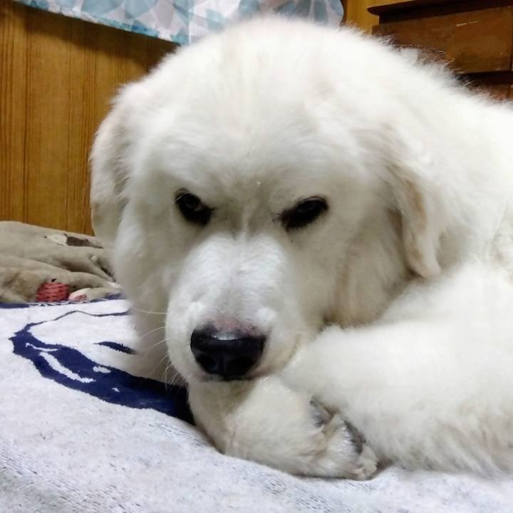 11969e27 e1fd 4713 9031 0100282fbb62 1694037535226