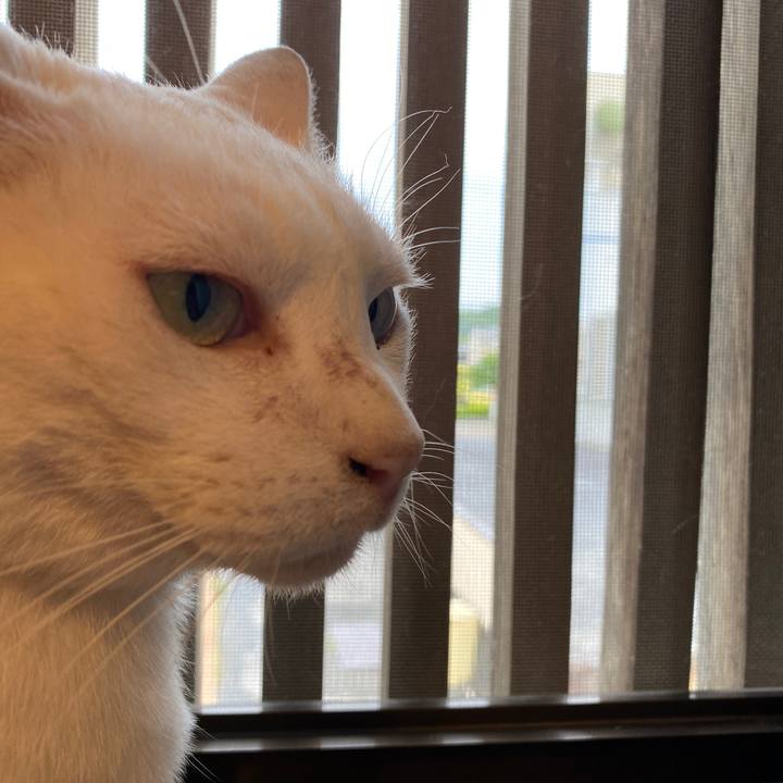 1196c4f3 3ec0 4e6f 8de2 d02f6fc53b3f 1624309232962